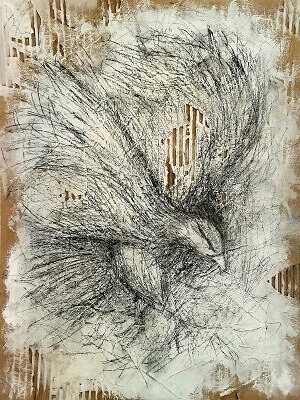eagal pencil drawing